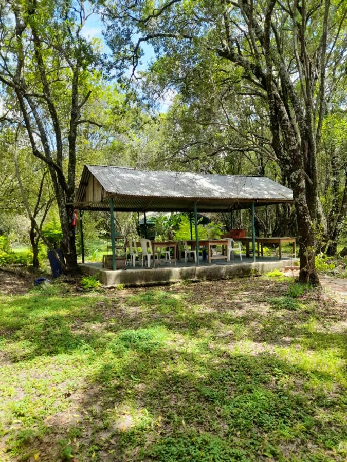 Leruk maasai safari camp Hotel Sekenani Bagian luar foto