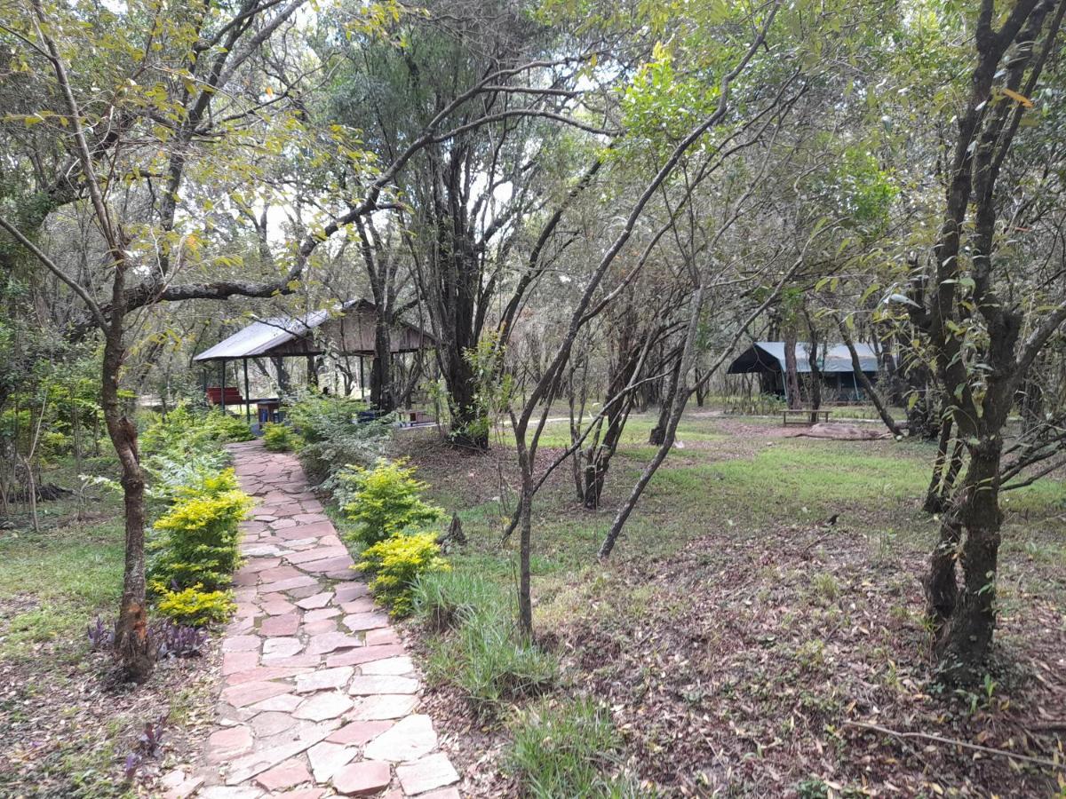 Leruk maasai safari camp Hotel Sekenani Bagian luar foto