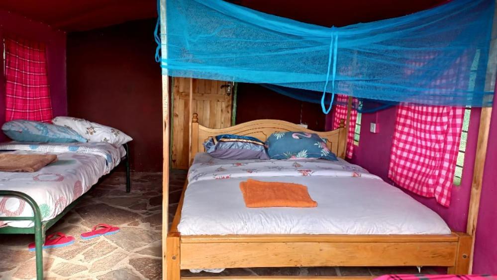 Leruk maasai safari camp Hotel Sekenani Bagian luar foto