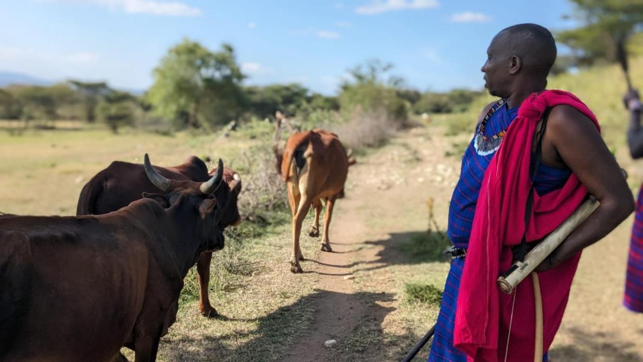 Leruk maasai safari camp Hotel Sekenani Bagian luar foto